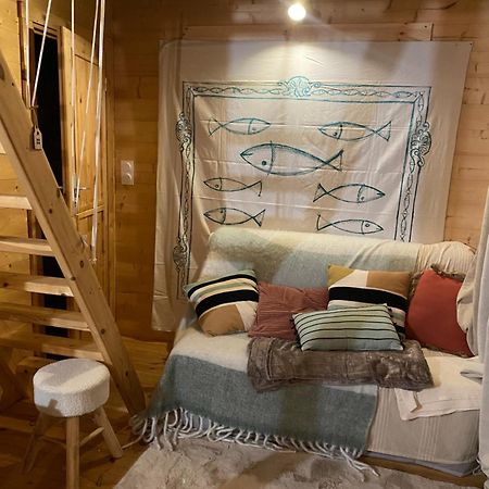 Maison En Bois 1 Chambre 4 Couchages Type Tiny House Granville Esterno foto