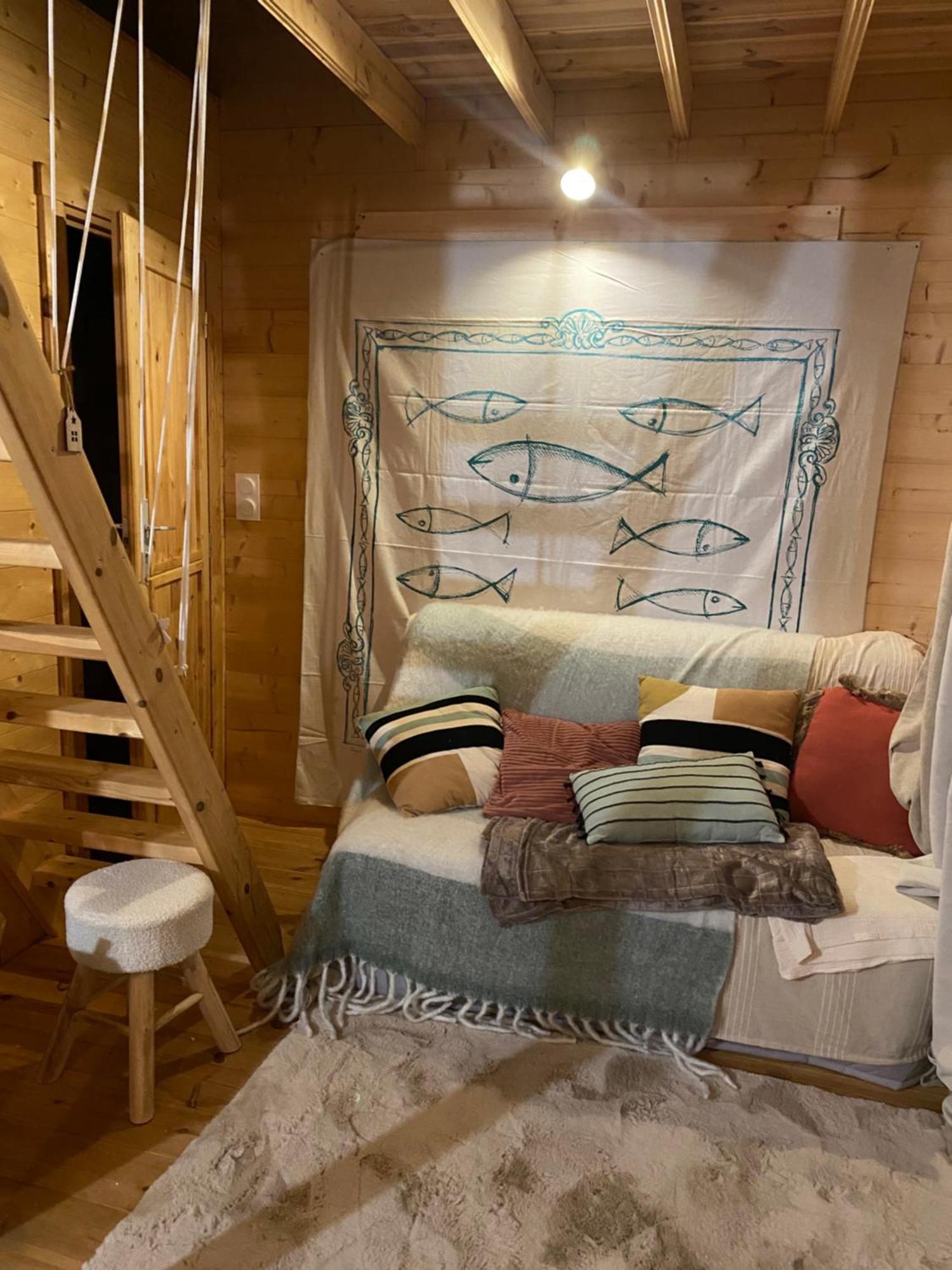 Maison En Bois 1 Chambre 4 Couchages Type Tiny House Granville Esterno foto